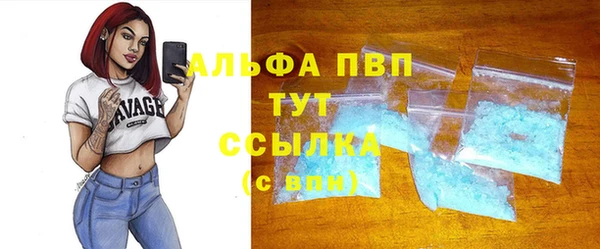 прущие грибы Осташков