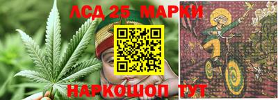 spice Аргун
