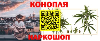 хмурый Апшеронск