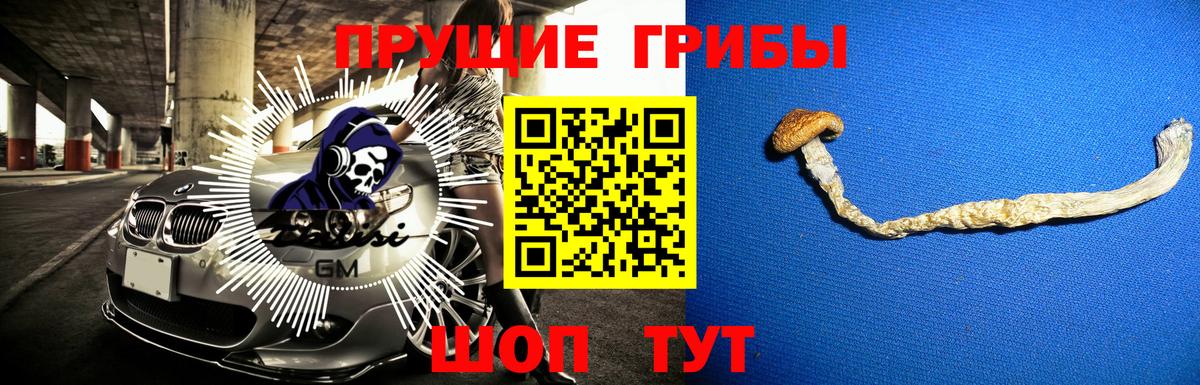 Галлюциногенные грибы ЛСД  Галлюциногенные грибы Psilocybine cubensis  Апрелевка  Вход с VPN 